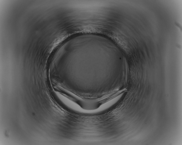 X0000097830488200804041424