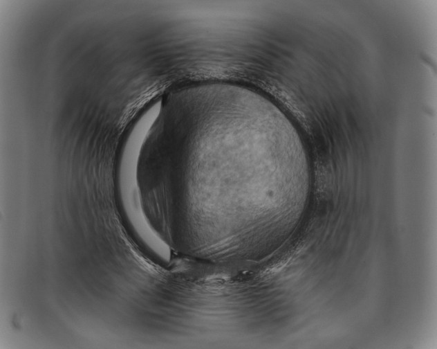 X0000097830489200804041424