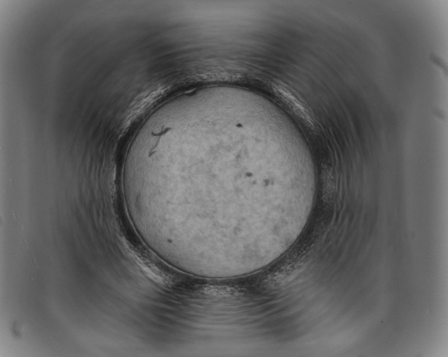 X0000097830490200804041424