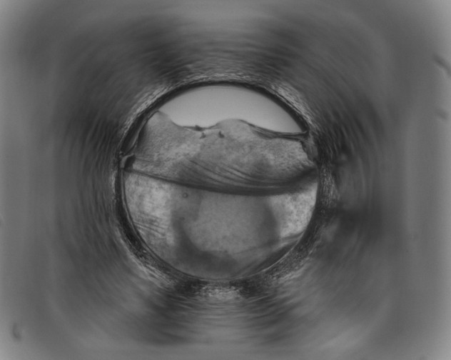 X0000097830491200804041424