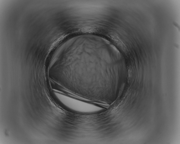 X0000097830492200804041424