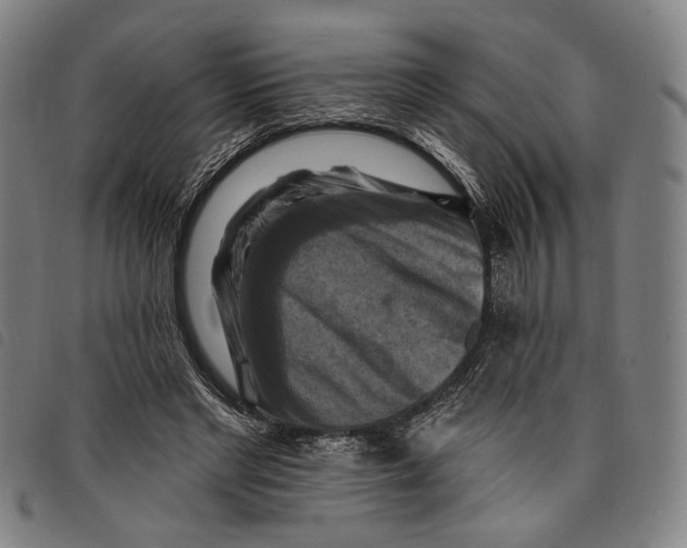 X0000097830493200804041424