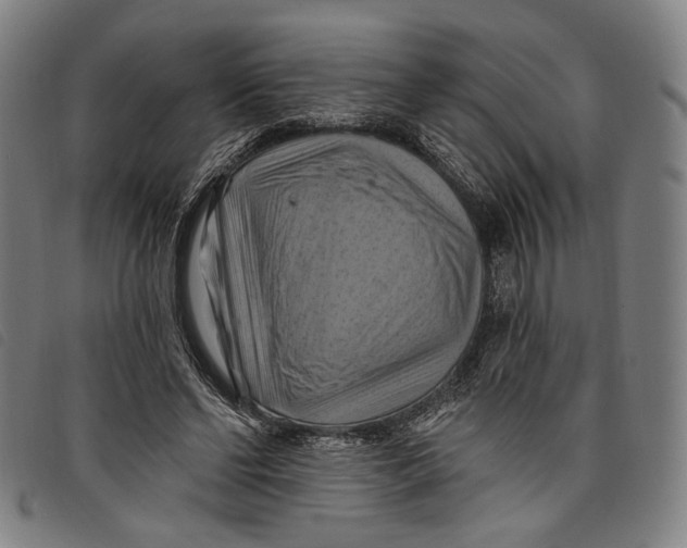 X0000097830494200804041424