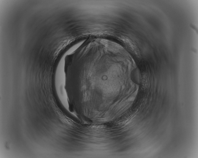 X0000097830495200804041424