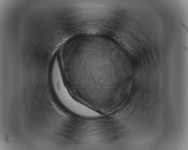 X0000097830496200804041424