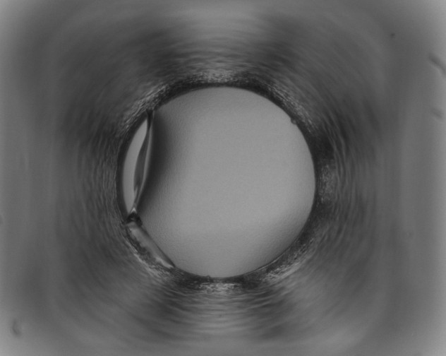 X0000097830497200804041424