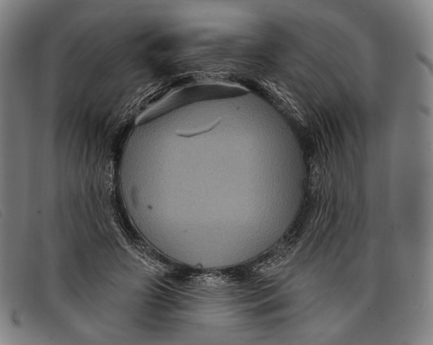 X0000097830498200804041424