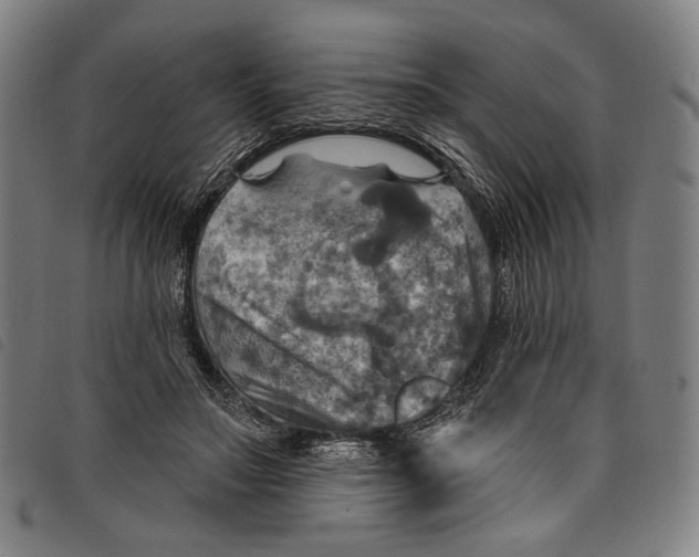 X0000097830499200804041424