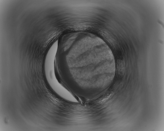 X0000097830501200804041424