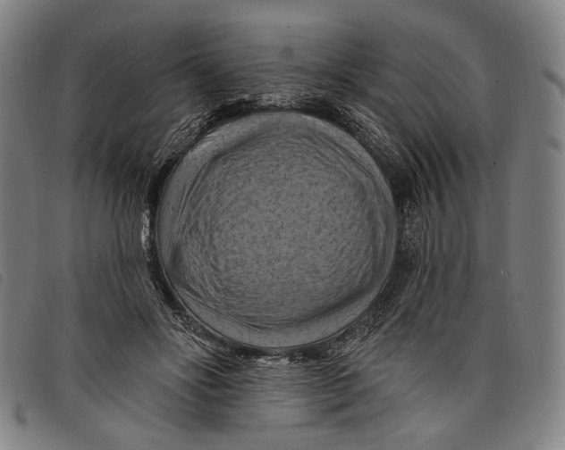 X0000097830502200804041424