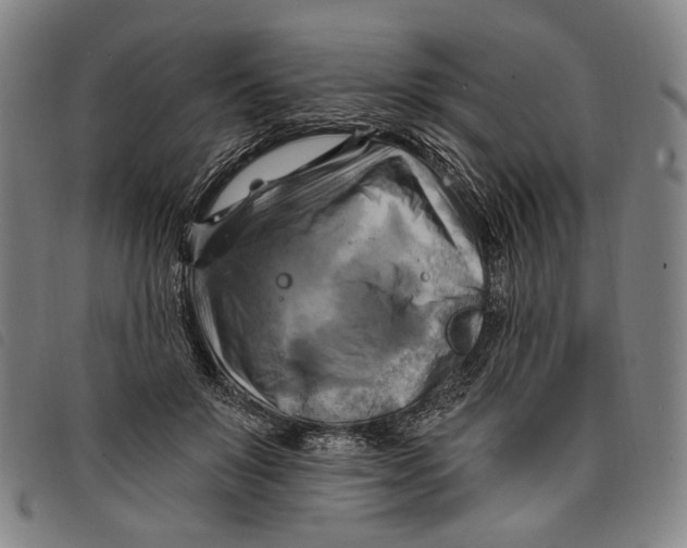 X0000097830503200804041424