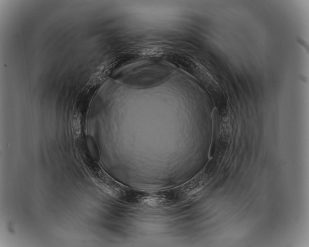 X0000097830504200804041424