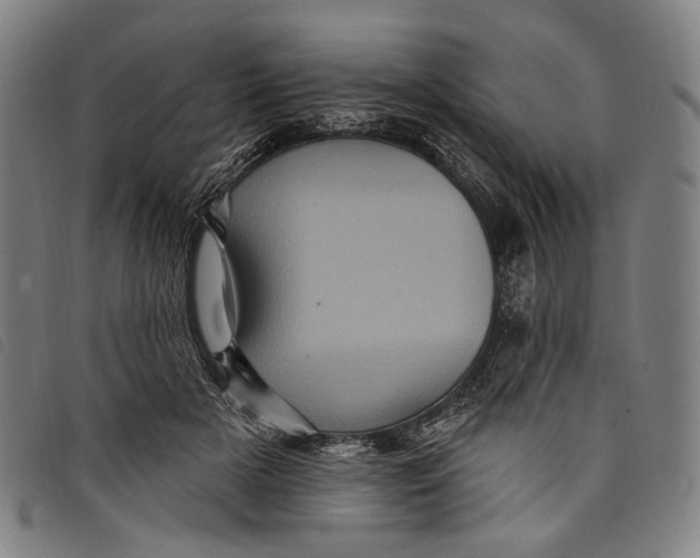 X0000097830505200804041424