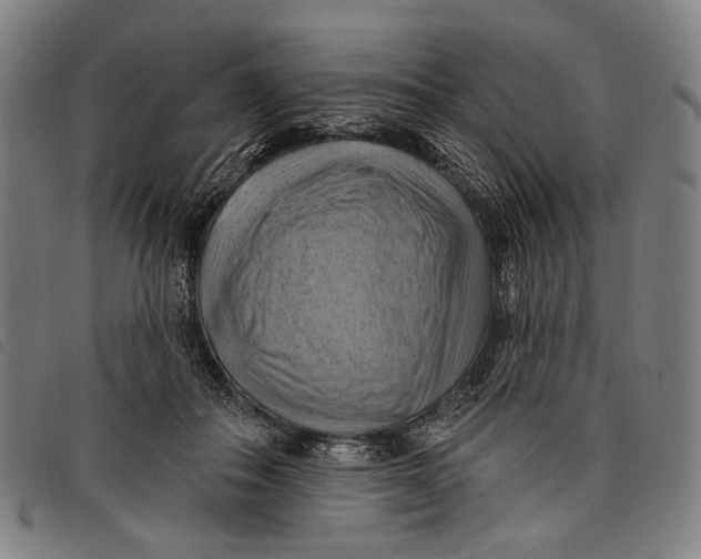 X0000097830506200804041424