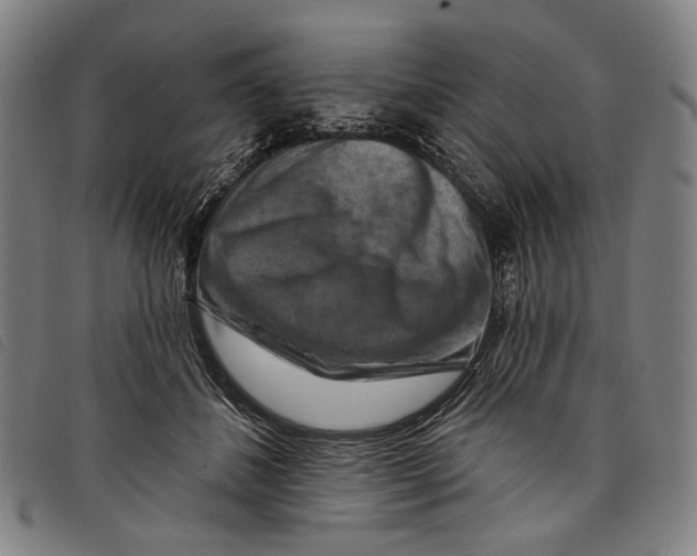 X0000097830508200804041424