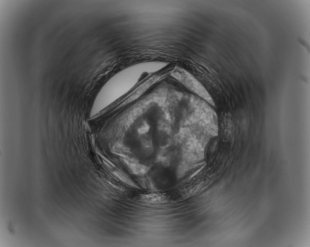 X0000097830511200804041424