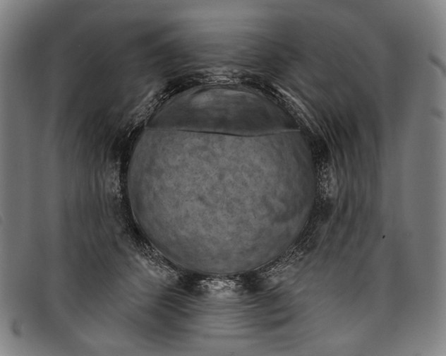 X0000097830512200804041424