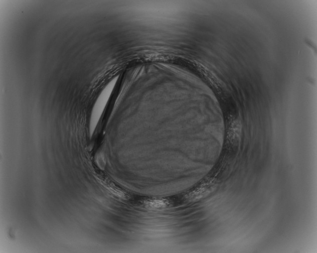 X0000097830513200804041424