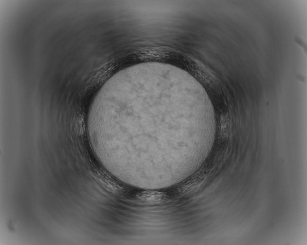 X0000097830514200804041424