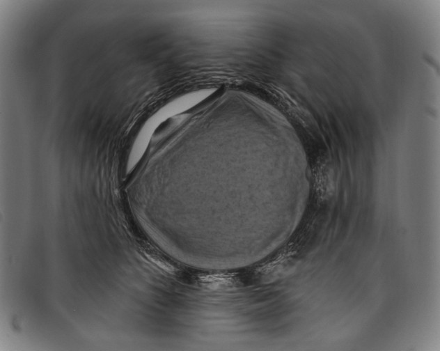 X0000097830516200804041424