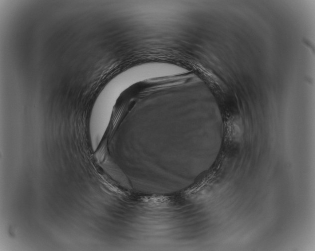 X0000097830517200804041424