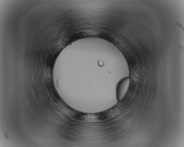 X0000097830518200804041424