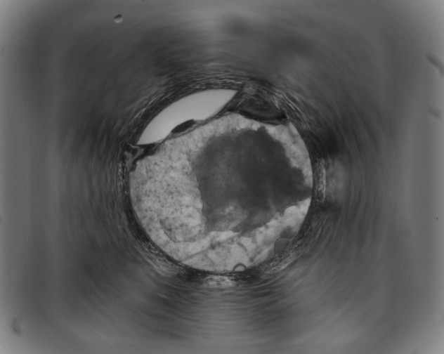 X0000097830519200804041424