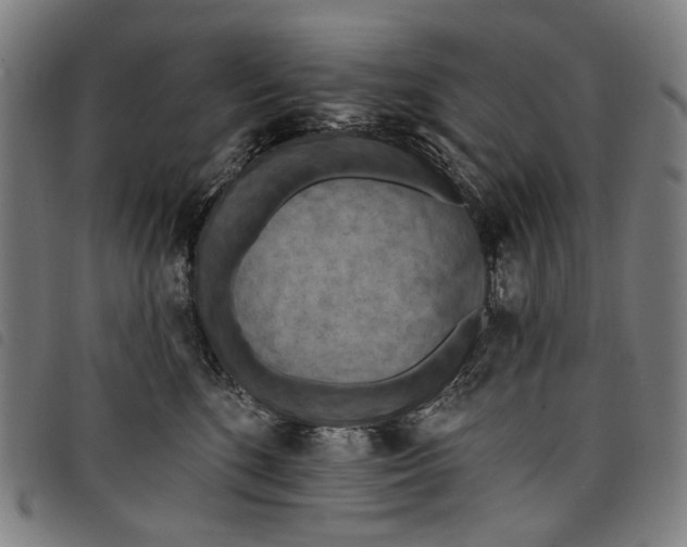 X0000097830520200804041424