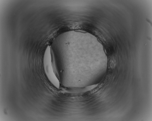 X0000097830521200804041424