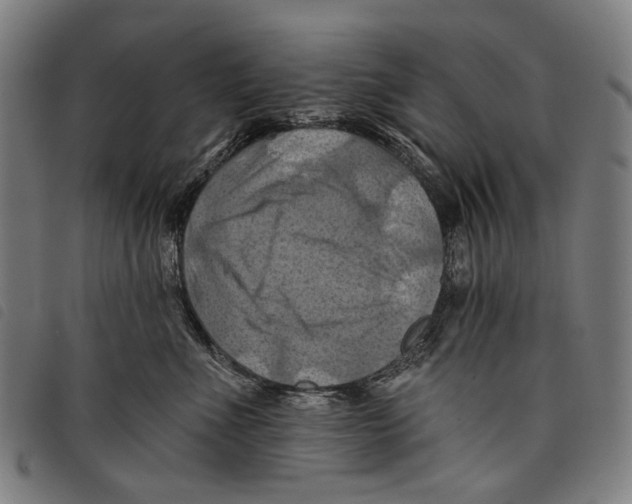 X0000097830523200804041424