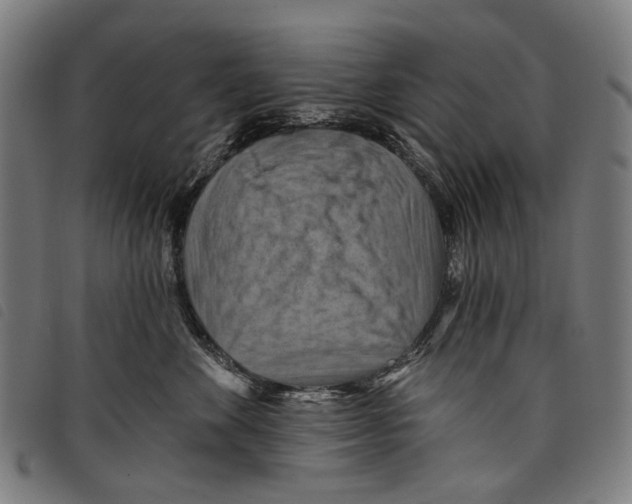 X0000097830524200804041424