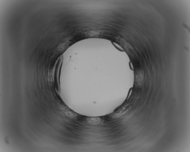 X0000097830525200804041424