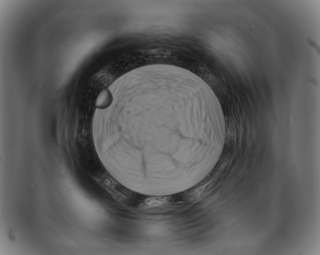 X0000097830526200804041424