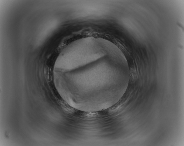 X0000097830527200804041424