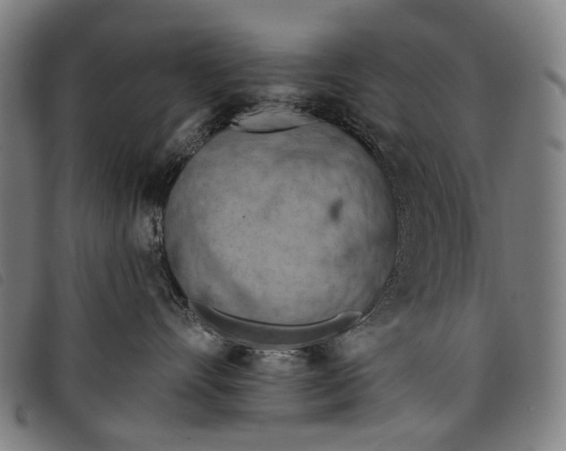 X0000097830528200804041424