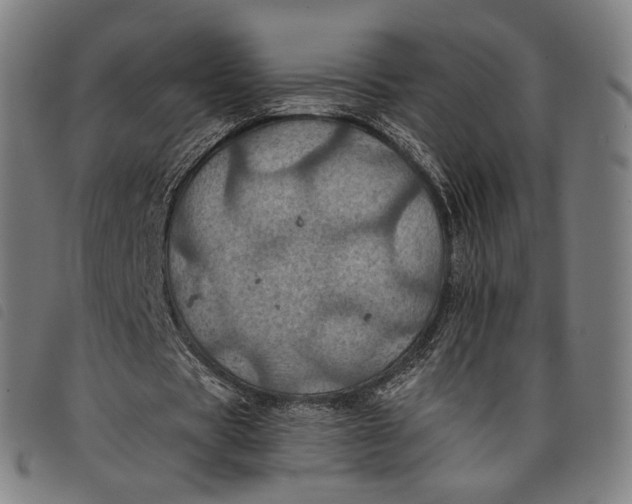 X0000097830529200804041423