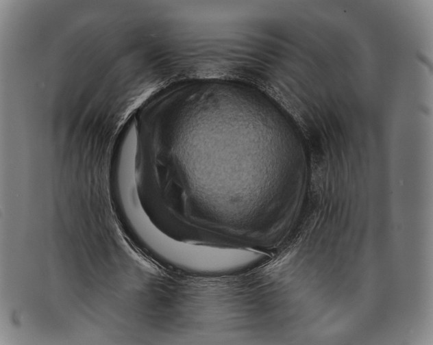 X0000097830530200804041423