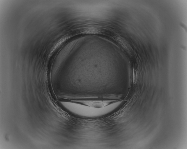 X0000097830531200804041423