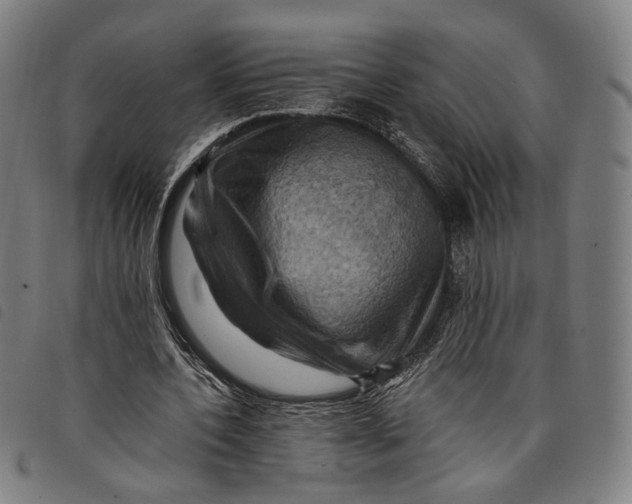 X0000097830532200804041423