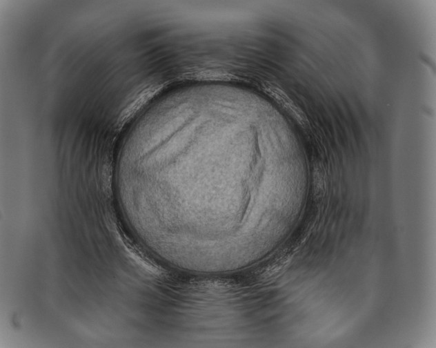 X0000097830533200804041423