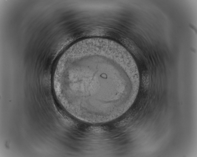 X0000097830534200804041423