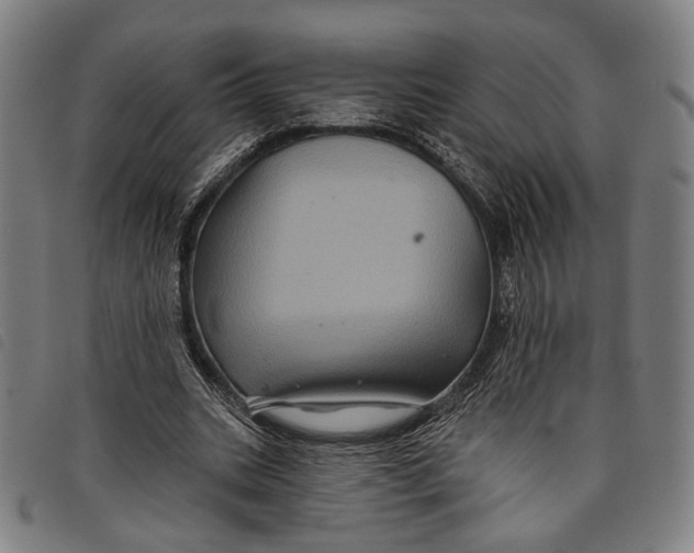 X0000097830535200804041423