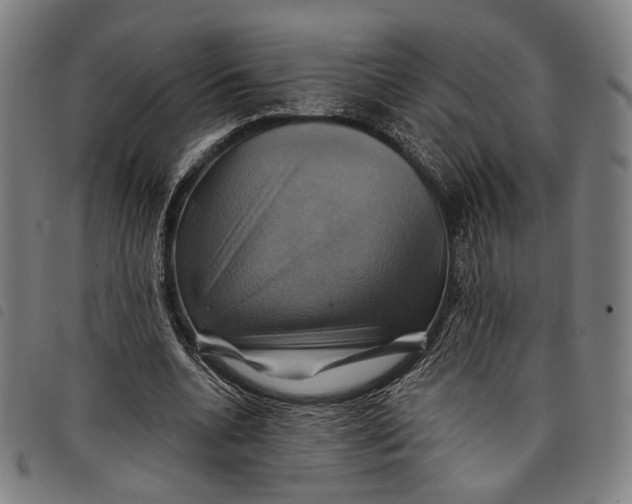 X0000097830536200804041423