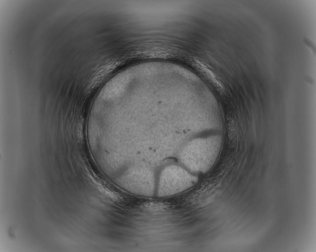 X0000097830537200804041423