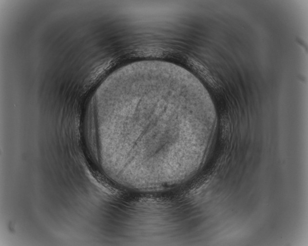 X0000097830538200804041423