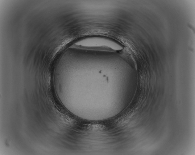 X0000097830539200804041423