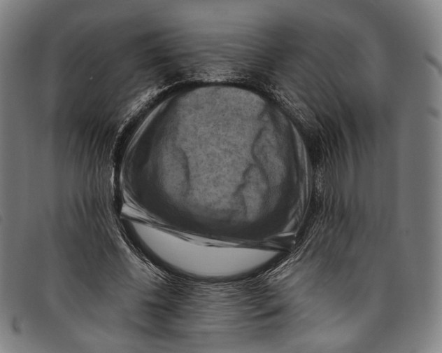 X0000097830540200804041423