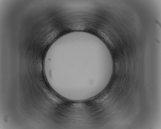 X0000097830541200804041423