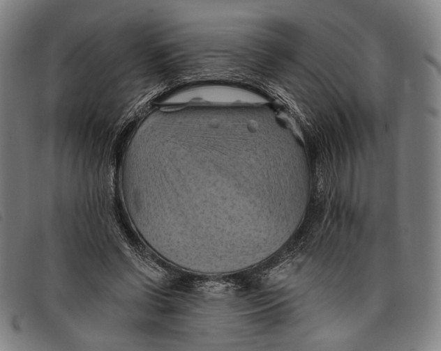 X0000097830542200804041423