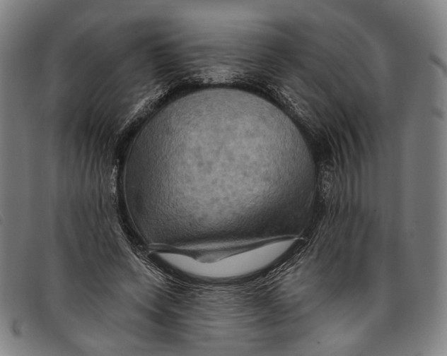 X0000097830543200804041423